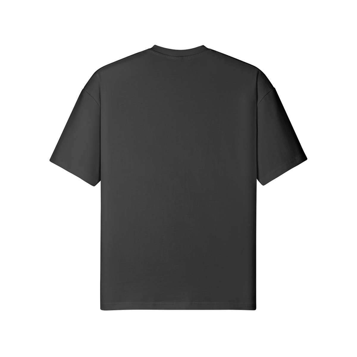 LION TRIP - Unisex Loose T-shirt