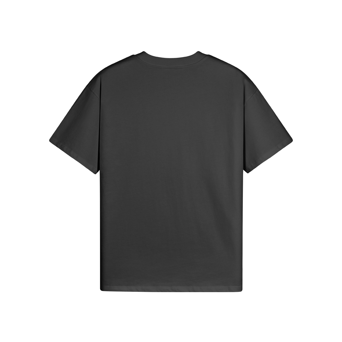 METAMORPHOSIS - Unisex Oversized T-shirt